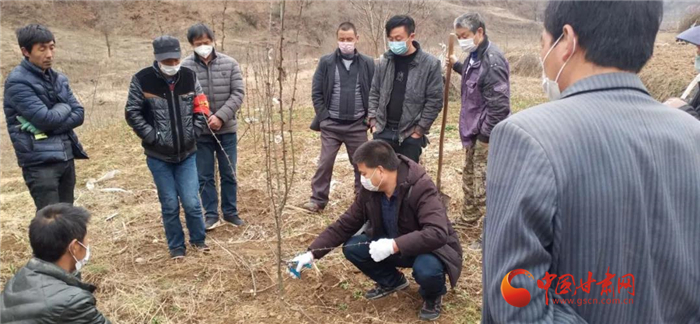【甘肅全民戰(zhàn)“疫”】隴南徽縣：花椒田里培訓忙，戰(zhàn)疫春耕兩不誤