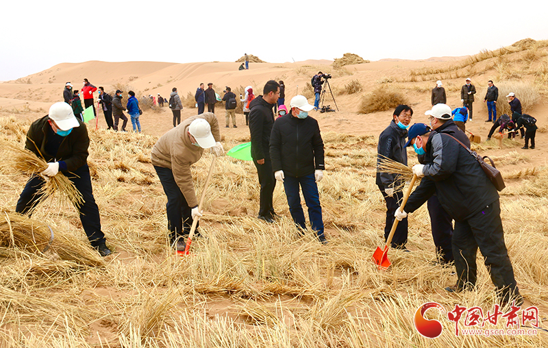 不“疫”樣的植樹(shù)節(jié)！甘肅省新聞戰(zhàn)線工作者攜手播綠“八步沙”（圖+視頻）