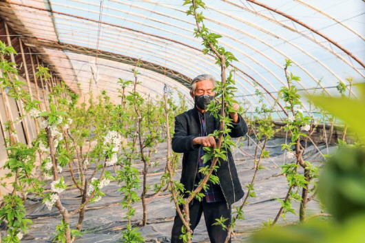 銅城復(fù)蘇：春光明媚，邀你共賞芳華（組圖）