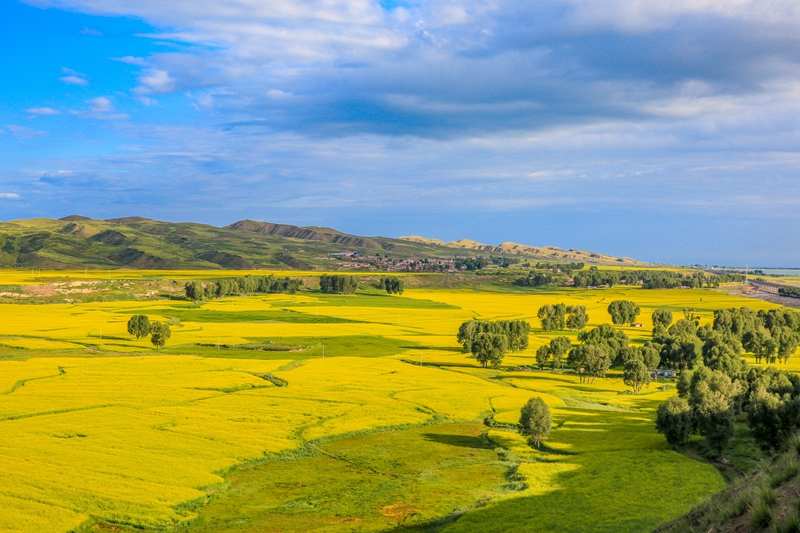 創(chuàng)意海報丨甘肅的美，你來了才知道