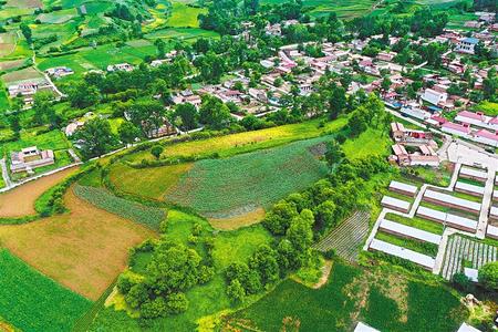 【溫暖的回響 滄桑巨變 飲水思源】這條路，通往幸福