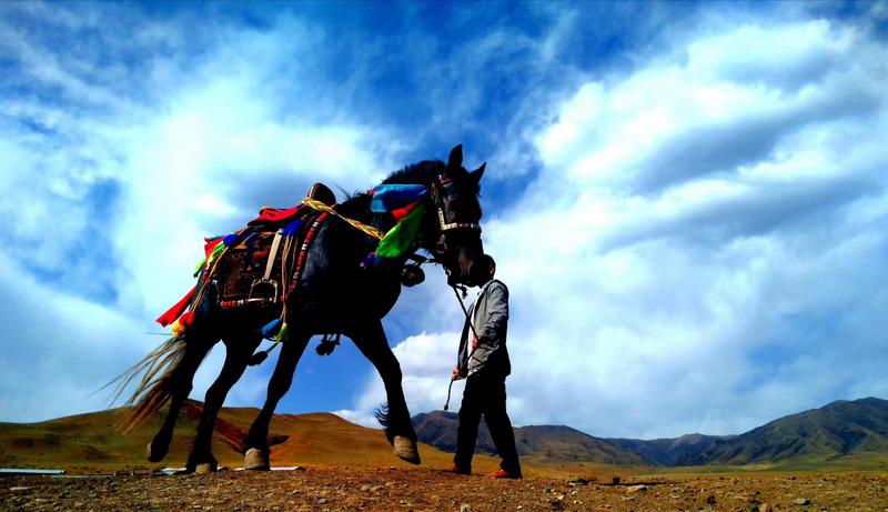 好消息！天祝被命名為“中國高原走馬之鄉(xiāng)”