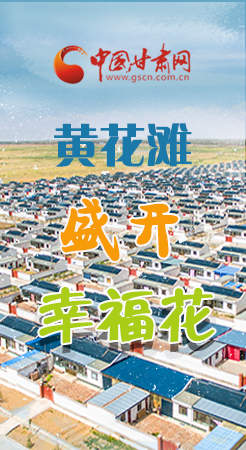 【跟著總書記看甘肅】長圖|武威黃花灘盛開幸?；?