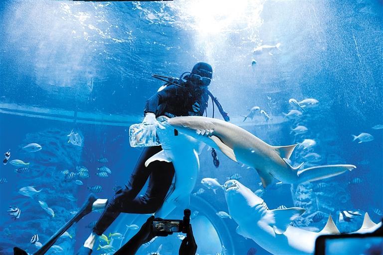 蘭州海洋公園 金昌火星1號(hào)基地 這個(gè)暑假我們“上天入?！?>
        </a><em>蘭州海洋公園 金昌火星1號(hào)基地 這個(gè)暑假我們“上天入海”</em></li>
    <li><a  target=