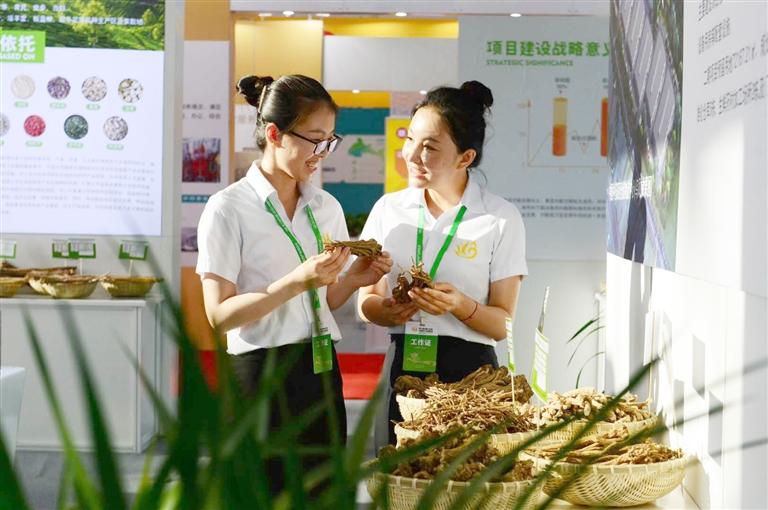 定西，從“千年藥鄉(xiāng)”邁向“中國(guó)藥都”