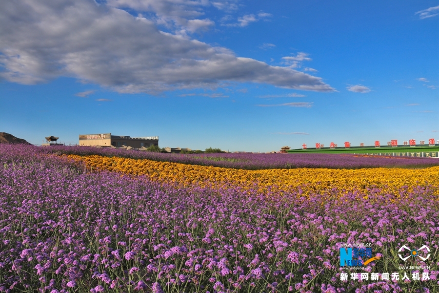 【“飛閱”中國】鳳凰花?！罢钩帷钡は伎?>
        </a><em>【“飛閱”中國】鳳凰花?！罢钩帷钡は伎?/em></li>
    <li><a  target=