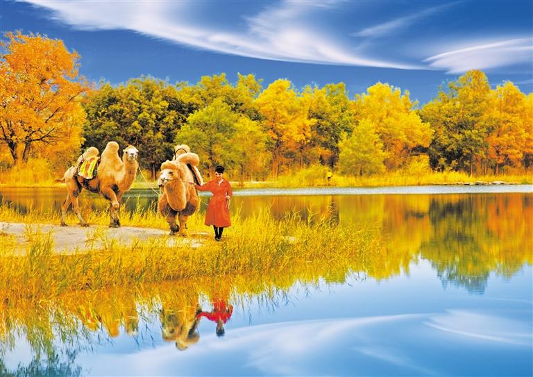 國慶長假，去金塔遇見最美胡楊