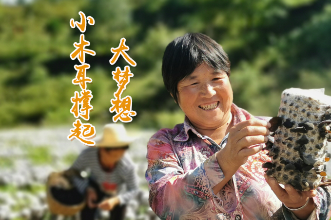 海報(bào)丨他們，乘“豐”破浪！