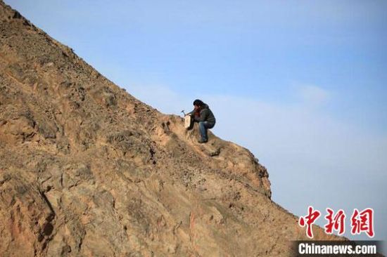 圖為敦煌“80后”畫家張杰龍在敦煌三危山里采集礦石顏料。(資料圖)受訪者供圖