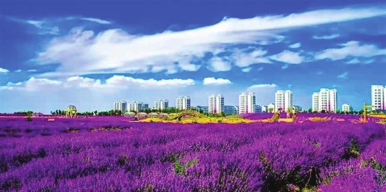 “三連冠”！金昌蟬聯(lián)全國文明城市