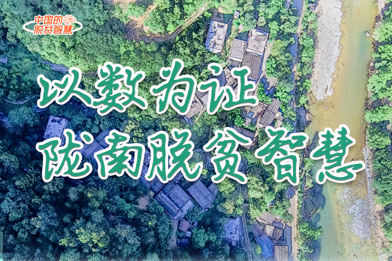 【中國的脫貧智慧】以數(shù)為證！隴南脫貧智慧來了！