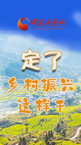 圖解|定了！全面推進(jìn)鄉(xiāng)村振興這樣干！