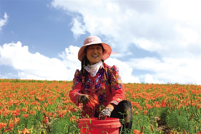 蘭州：助力鄉(xiāng)村振興 特色農產品唱起主角