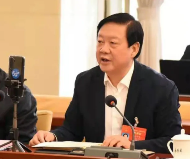 【聚焦2021全國兩會】全國人大代表、市委書記楊維俊接受中國日報記者采訪