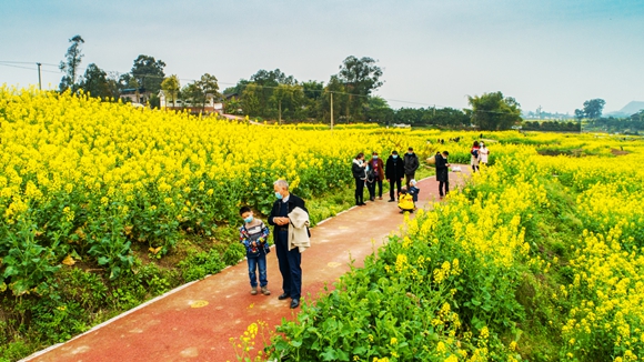 游客在花海里踏青。廖濤 攝