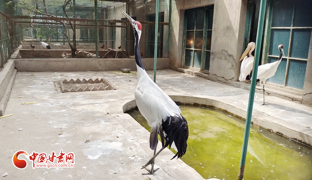 蘭州公安提醒市民：非緊急非必要，不出境