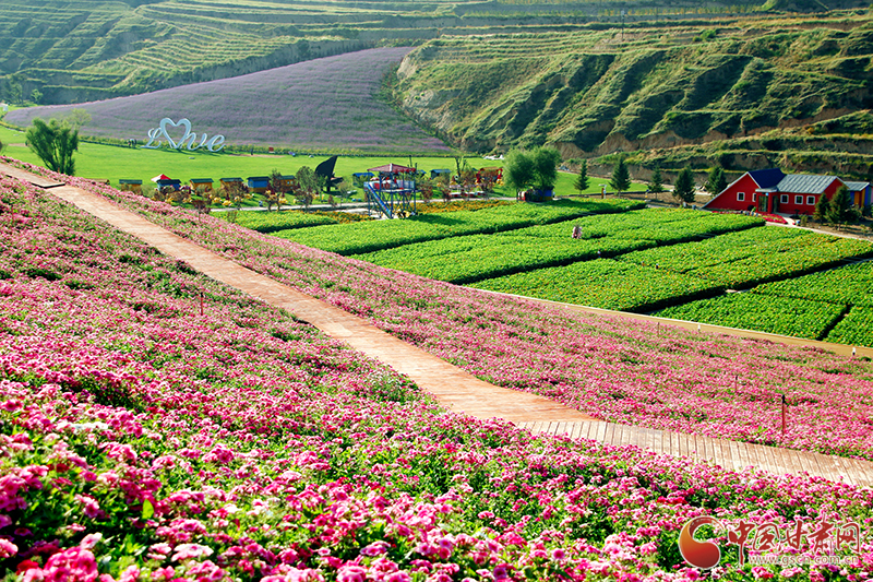 “如意甘肅鄉(xiāng)約打卡”網(wǎng)絡(luò)主題宣傳活動走進(jìn)榆中李家莊田園綜合體