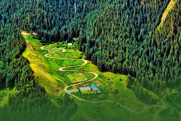 海報(bào)|祁連山保護(hù)區(qū)生態(tài)環(huán)境問(wèn)題整改全面完成！