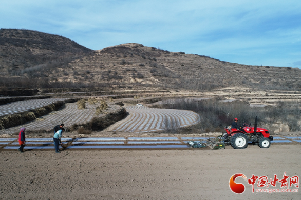 【小康圓夢(mèng)·看甘肅】靜寧縣農(nóng)業(yè)機(jī)械化跑出80萬(wàn)畝秋覆膜“加速度”