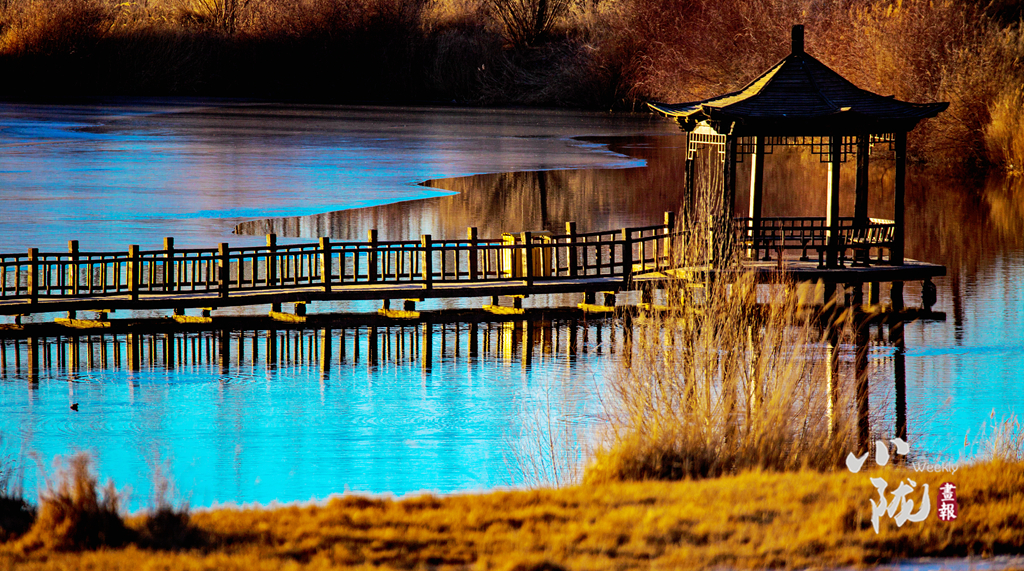 【小隴畫報(bào)·127期】肅北黨河峽谷冬景別致