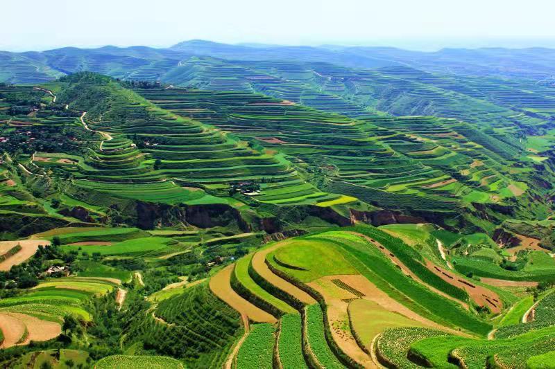 追趕進位，跑好脫貧后的“第一棒”——定西市委書記戴超談“后脫貧”時代定西高質(zhì)量發(fā)展