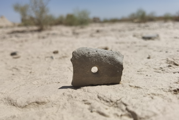 插圖1：河西走廊上遺存的古陶片。攝影：陳曉斌。拍攝日期：2020年6月。