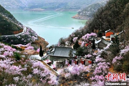 甘肅平?jīng)鍪惺侵袊鴥?yōu)秀旅游城市。圖為平?jīng)鲠轻忌较率锾一ㄊ㈤_。(資料圖) 平?jīng)鍪形麄鞑抗﹫D