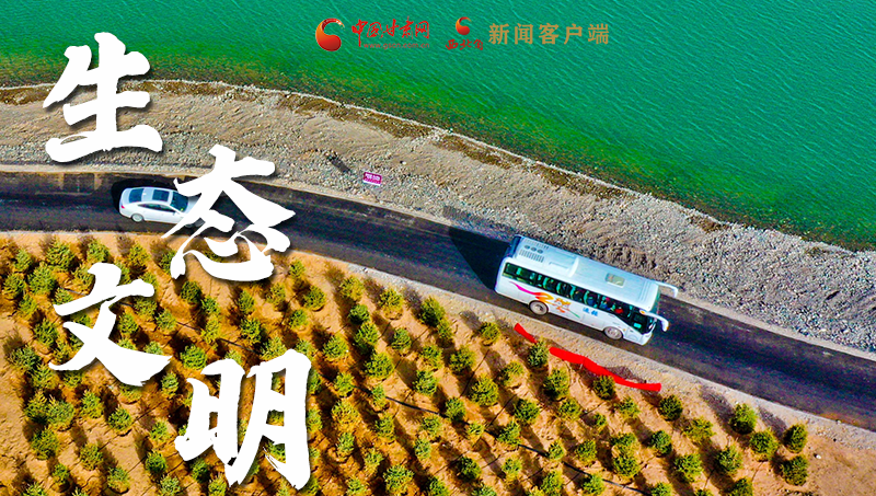 彈幕海報丨熱議甘肅省委十三屆十六次全會 網(wǎng)民聲音在回響！