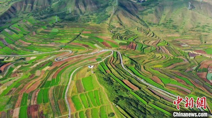 秋日里，榆中縣馬坡鄉(xiāng)千畝梯田，不同農(nóng)作物漸趨成熟，呈現(xiàn)出多種色彩，宛若大地的“調(diào)色盤”。　劉曉波 攝