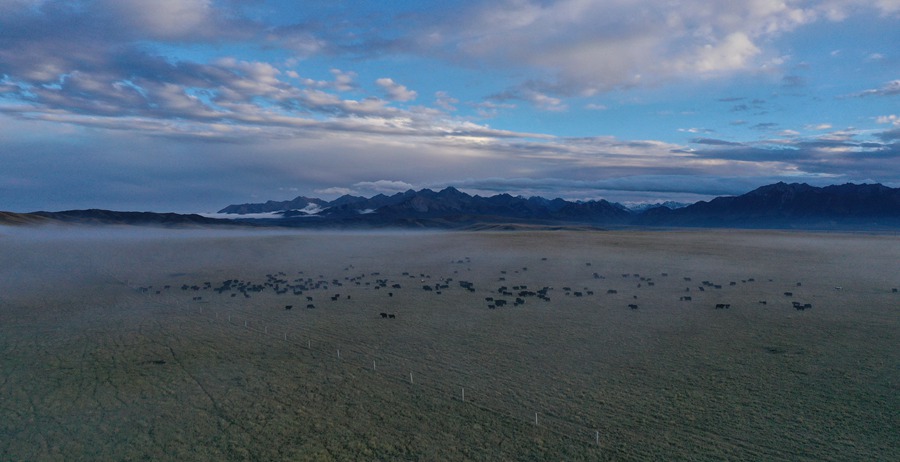 甘肅山丹馬場(chǎng)：峽谷云霧似仙境。 王超攝