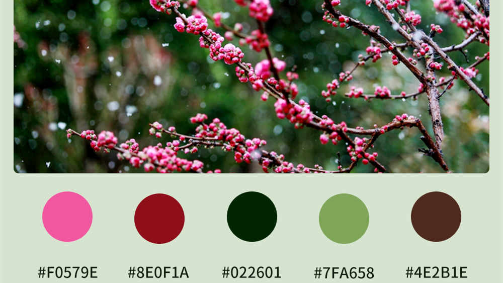 微海報|收藏！色卡里的春日甘肅