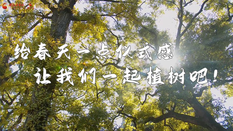 短視頻|給春天一點儀式感，讓我們一起植樹吧！