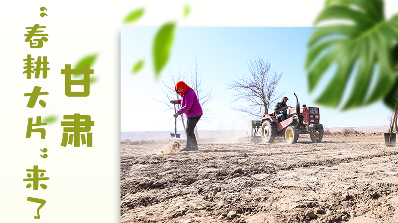 【甘快看】海報|瞧！甘肅“春耕大片”來了