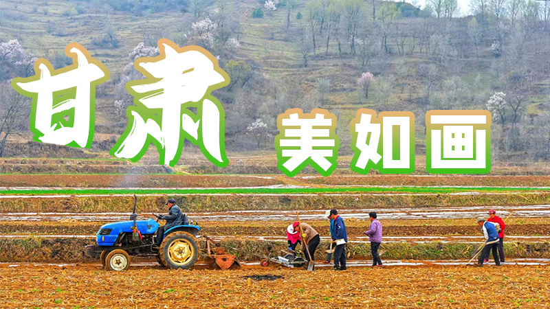 微海報(bào)|甘肅，美如畫(huà)