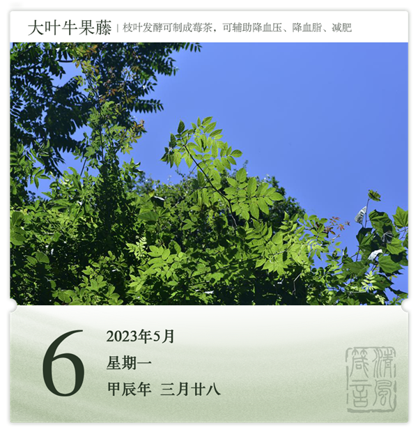 1714274611677309.png 箴歷日歷5-6.png