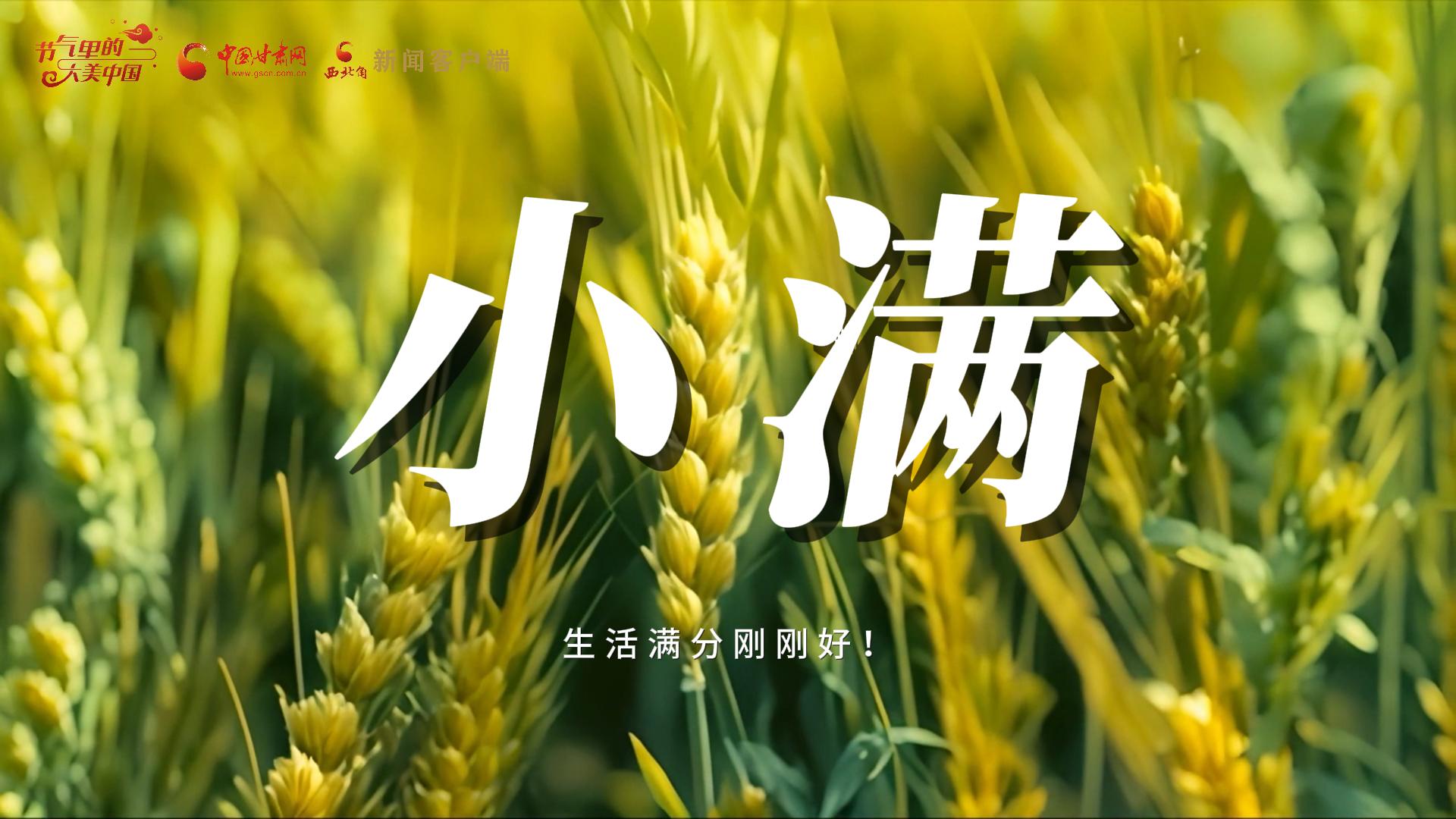 【節(jié)氣里的大美甘肅·小滿】生活滿分剛剛好！