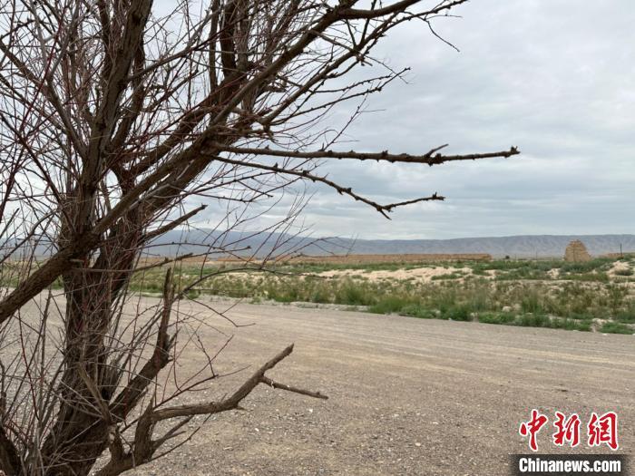 圖為位于長(zhǎng)城墻體上的“馬面”或“敵臺(tái)”?！〈魑牟?攝