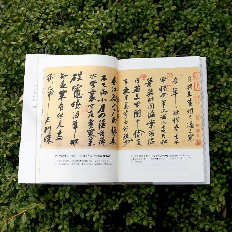 圖片