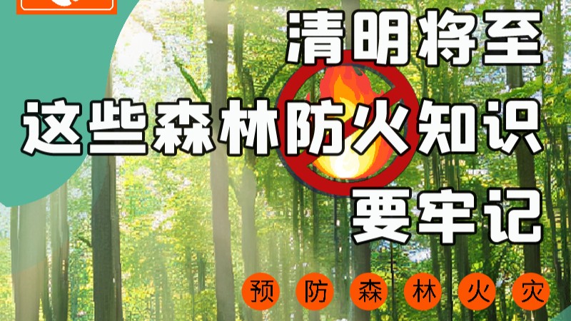 【甘快看】圖解|緊繃“安全弦”！清明，這些森林防火知識要牢記