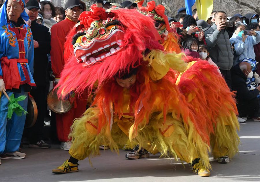 蘭州北獅表演現(xiàn)場。受訪者供圖