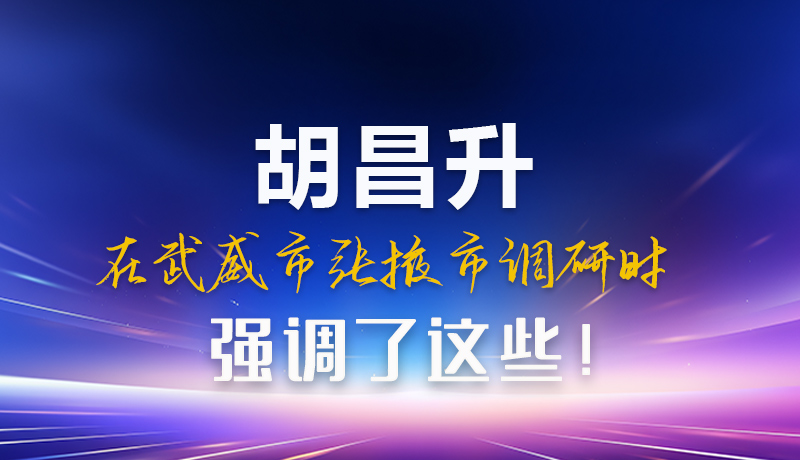 圖解|胡昌升在武威市張掖市調(diào)研時強調(diào)這些！