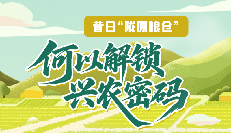 【理響中國(guó)·話(huà)隴點(diǎn)睛（3）】昔日“隴原糧倉(cāng)”，何以解鎖“興農(nóng)密碼”